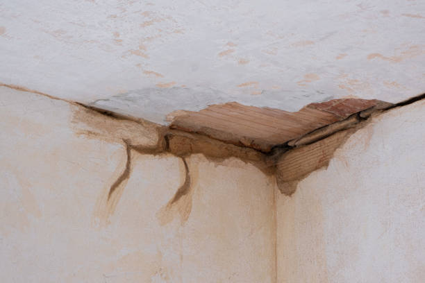 Fire Damage Restoration in West Pleasant View, CO