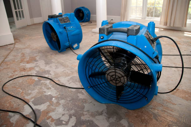 Best Flooded house restoration  in West Pleasant View, CO