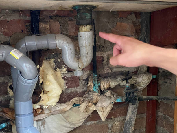 Best Carpet water damage restoration  in West Pleasant View, CO